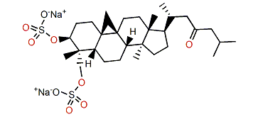 Cycloartan-3b,29-diol-23-one 3,29-disulfate